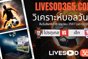 ทีเด็ดวิเคราะห์บอลประจำวันอังคาร ยูโร2024 โปรตุเกส vs เช็ก